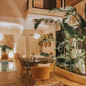 L'oiseau Du Paradis Marrakesh